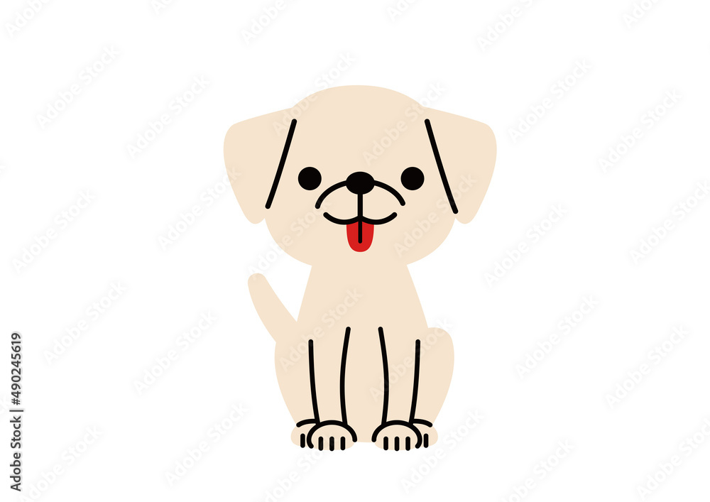 Obraz premium お座りをしているラブラドールレトリーバーの子犬