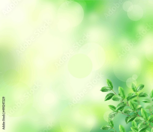 初夏の美しい木漏れ日の差し込む新緑とぼやけた緑のバックグラウンドのイラスト素材 photo