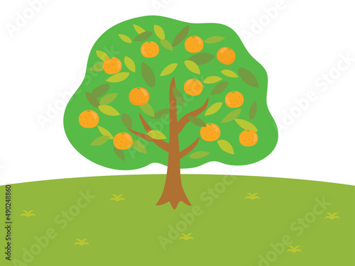 みかんの木の風景イラスト