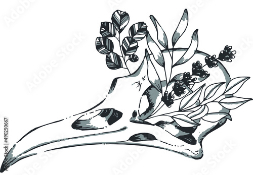 Bird skull Sketch Tattoo isolated vector illustration