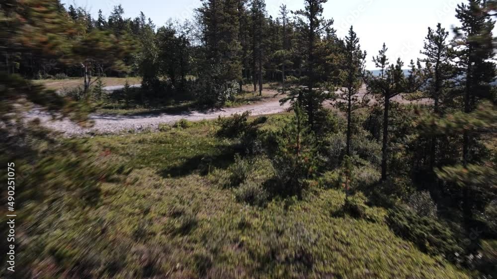A small remote campsite on the edge of a steep valley in southwest Alberta, Canada. Drone flying closely to coniferous trees. Fast aerial pull-back A small remote campsite on the edge of a steep valley in southwest Alberta, Canada. Drone flying closely to coniferous trees. Fast aerial pull-back