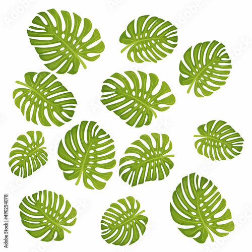 Set of tropical leaves. Different green leaf collection. Colorful vector illustration on white background in cartoon style.