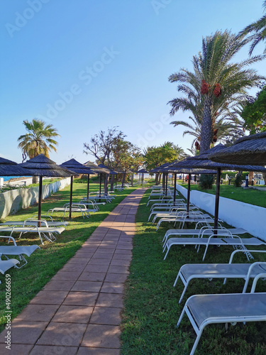 A path made of red stone tiles on the sides of which  on the grass  there are parasols from the sun made of natural materials and sun loungers.