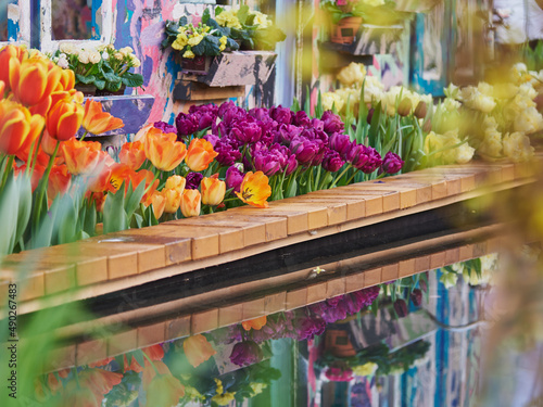 Spring flowers grow in a flower bed and are reflected in a small homemade pond. Selective focus.