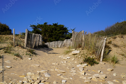 access ocean sandy pathway fence wooden to ocean beach atlantic sea coast in France photo