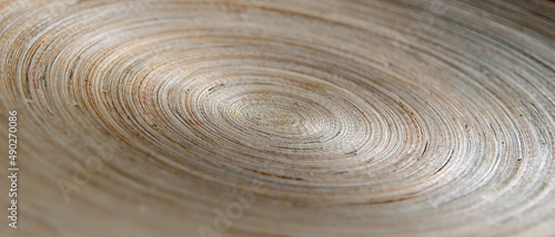 The concentric abstract background with wood texture