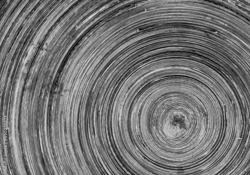 The concentric abstract background with wood texture The concentric abstract background with wood texture