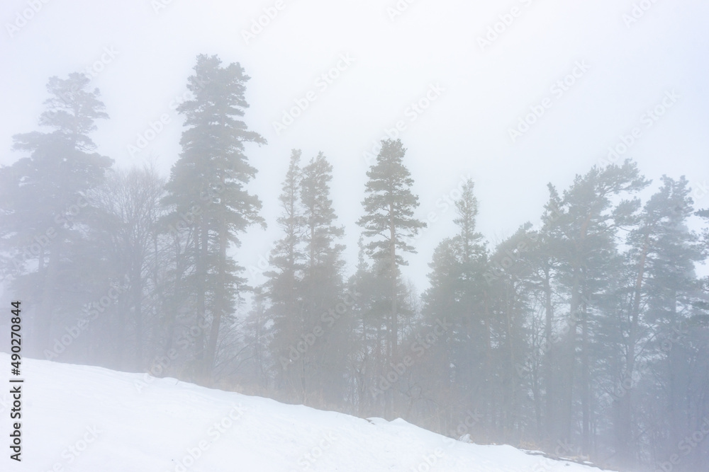 Naklejka premium Covered with snow Caucasus mountain