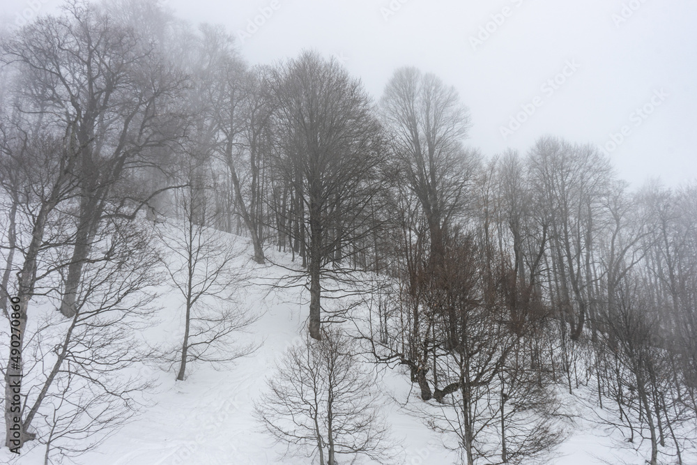 Covered with snow Caucasus mountain