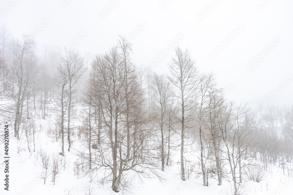 Covered with snow Caucasus mountain