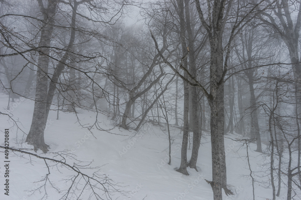 Covered with snow Caucasus mountain Covered with snow Caucasus mountain