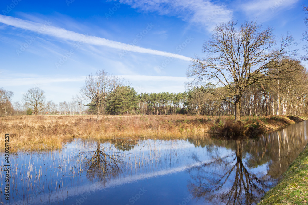 Little pond in the nature area Drents-Friese Wold, Netherlands Little pond in the nature area Drents-Friese Wold, Netherlands