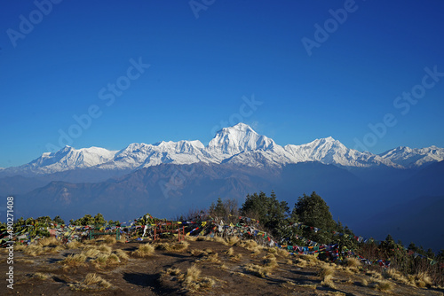 Natural landscape of Snowcapped mountain view of Poon hill with colorful prayer flags and blue sky, Annapurna Himalayan range- Ghorepani, Nepal photo