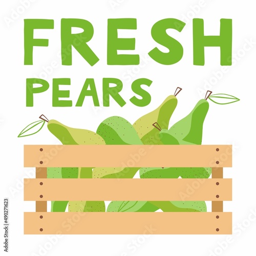 Pears in a wooden box. Sale of organic vegetables grown on the farm. Vector illustration on the theme of the harvest, festivals and fairs.