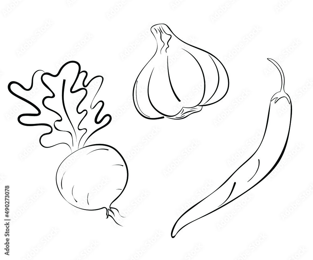 Line art, vegetables Drawing, potato Drawing, caret Vegetables, Hand