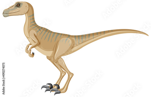 Velociraptor dinosaur on white background