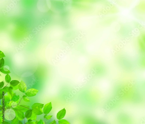 初夏の美しい木漏れ日の差し込む新緑とぼやけた緑のバックグラウンドのイラスト素材