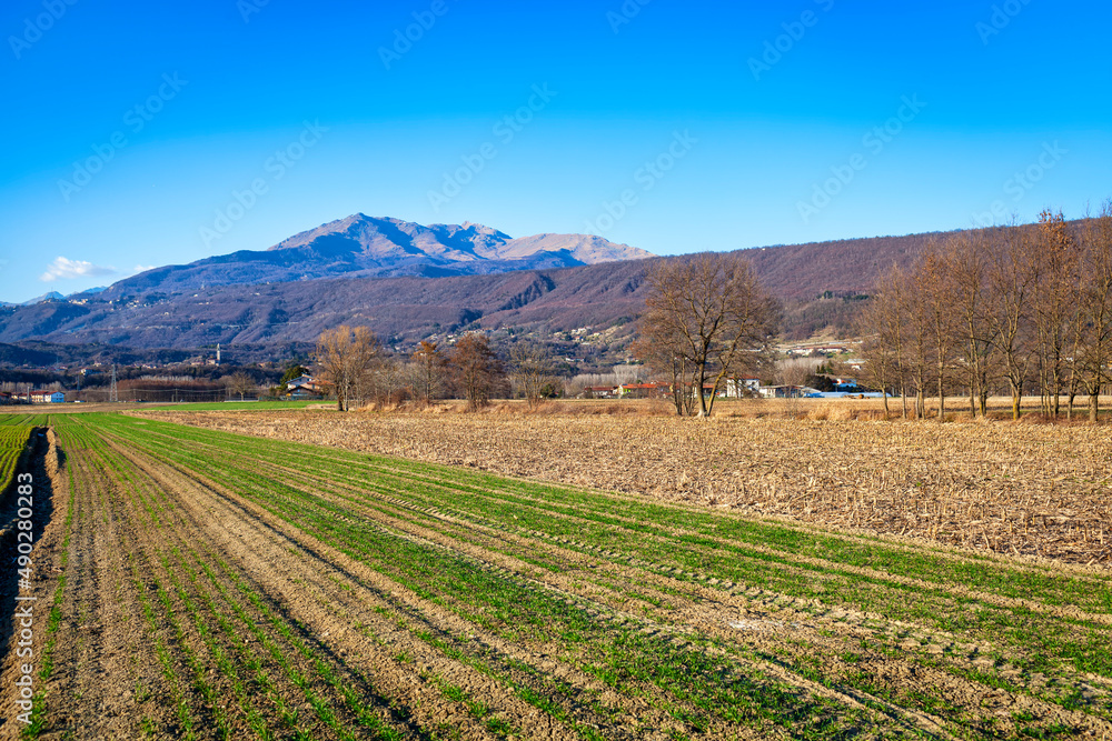 View of the Serra Morenica of Ivrea (Piedmont Northern Italy); is the longest linear hill in Europe and was formed from the rocky residues dragged by an ancient prehistoric glacier. 