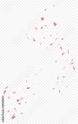 Beautiful Rose Flying Vector Transparent