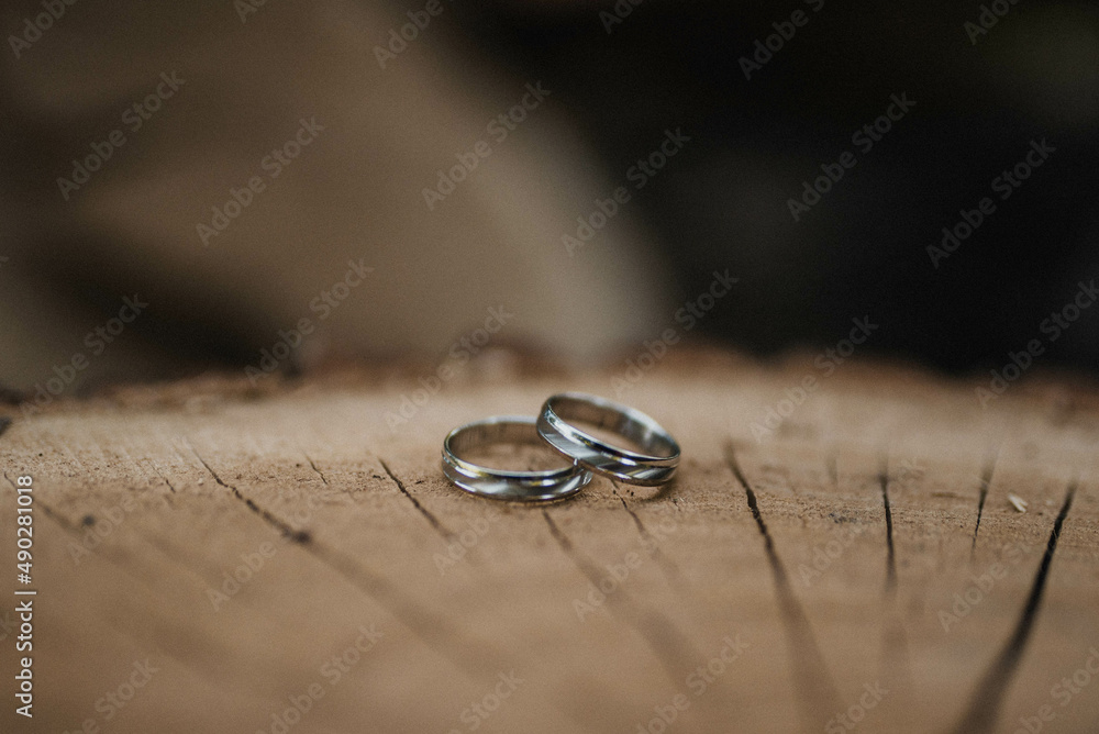 They symbolize our lifelong commitment to each other. Wedding rings. They symbolize our lifelong commitment to each other. Wedding rings.