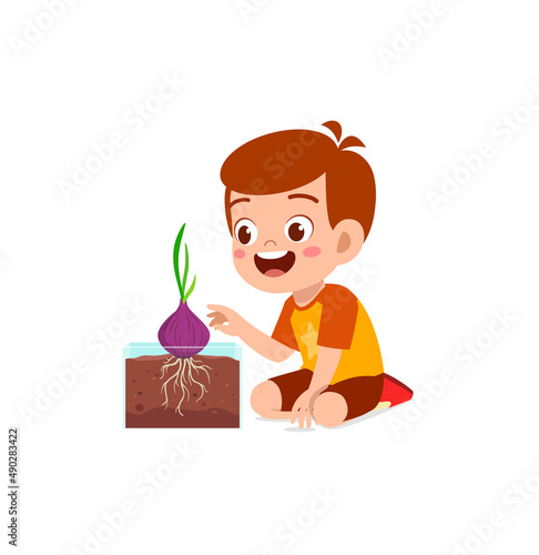 little boy observe plant growing in garden