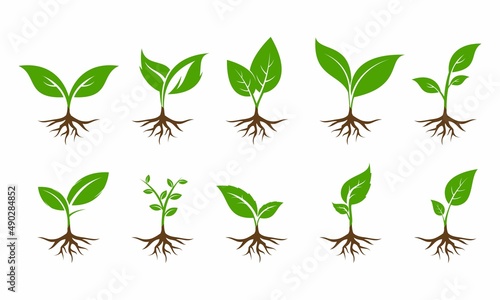 Print op canvas Plant with root set illustration vector design