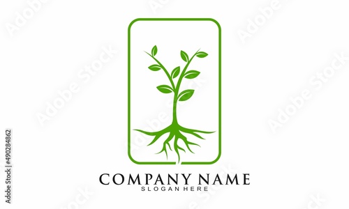 Simple plant with root vector logo