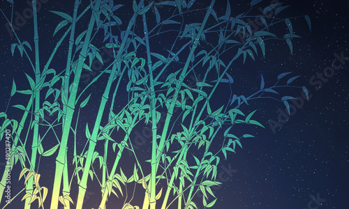Canvas Print bamboo vector illustration starry night sky