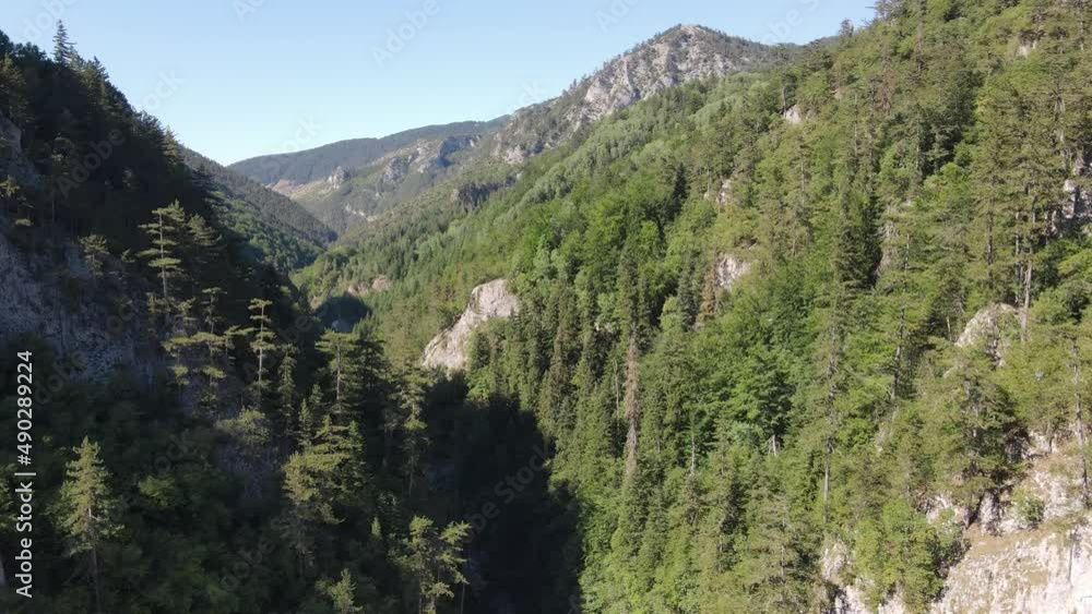 Aerial view of Trigrad Gorge at Rhodope Mountains, Smolyan Region, Bulgaria Aerial view of Trigrad Gorge at Rhodope Mountains, Smolyan Region, Bulgaria
