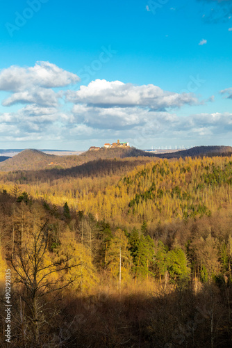 Frühlingsspaziergang durch den Südwesten des Thüringer Waldes mit Blick auf die Wartburg - Eisenach - Thüringen