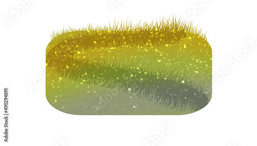 Green field with a path in the evening