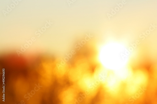 Abstract blurred golden sunset background with bokeh effect