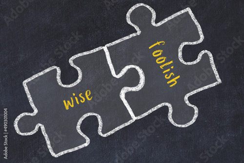 Ploblem solving. Chalk sketch of two puzzles with words wise and foolish
