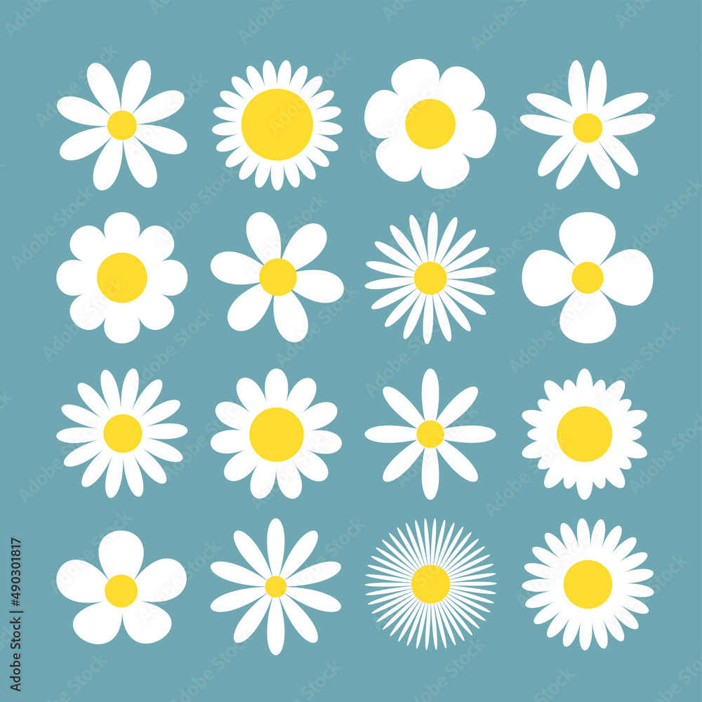 Camomile Daisy super big set. White chamomile icon. Growing concept. Cute round flower plant collection. Love card symbol. Flat design. Blue background. Isolated. Camomile Daisy super big set. White chamomile icon. Growing concept. Cute round flower plant collection. Love card symbol. Flat design. Blue background. Isolated.