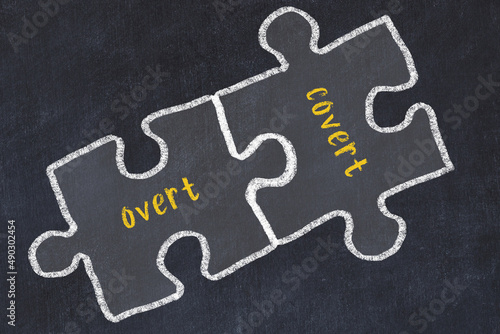 Fotografía Chalk drawing of two puzzles with words overt and covert
