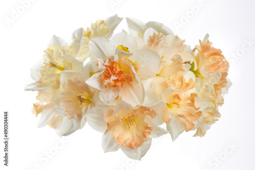 Delicate bouquet of daffodils isolated on white background.