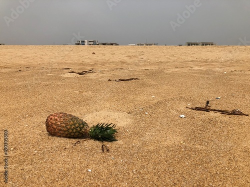 ananas plage