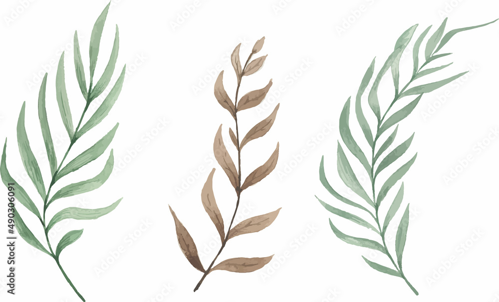 Set of watercolor elements of herbs, collection of garden yellow, burgundy twigs, leaves. Botanical eucalyptus Set of watercolor elements of herbs, collection of garden yellow, burgundy twigs, leaves. Botanical eucalyptus