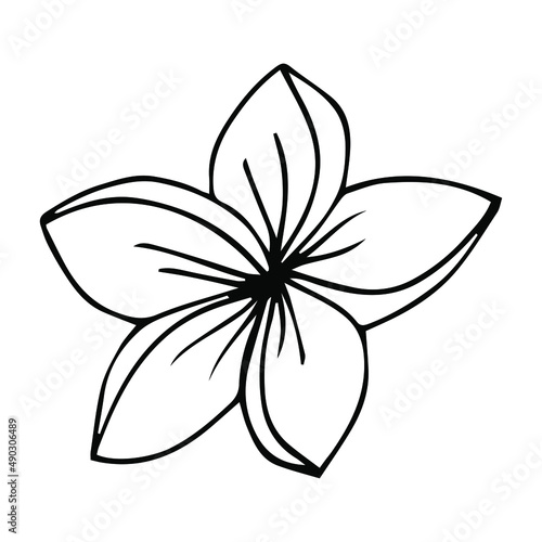Plumeria flower outline. Frangipani line art vector illustration isolated on white background. Plumeria silhouette icon, blossom doodle and simple element. Exotic tropical plant symbol.
