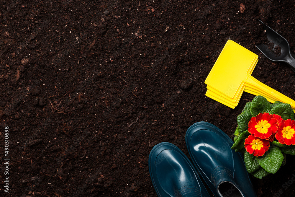 Naklejka premium Gardening and planting in home garden flat lay background