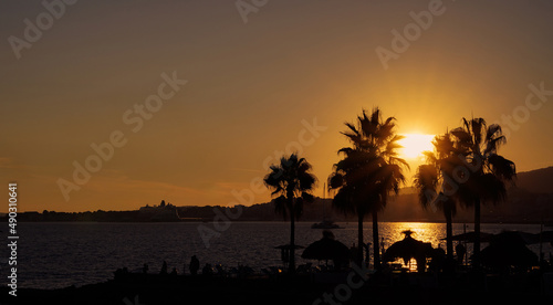 Palm Silhouettes at sunset at the Beach in Palma de Mallorca