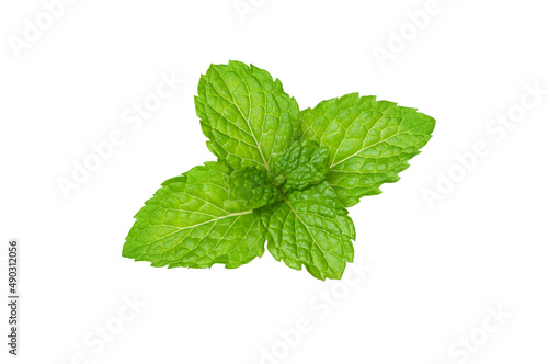 Fresh mint leaf (Spearmint) isolated on white background. Top view. Flat lay. Clipping path.
