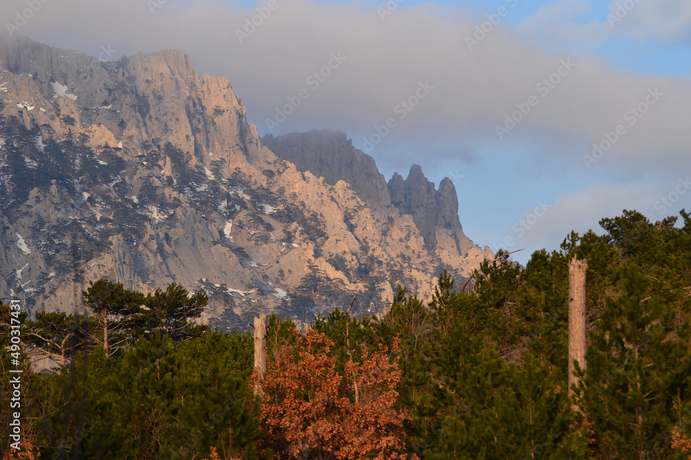 Beautiful forest under the mountain Beautiful forest under the mountain