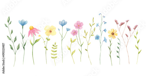 Wildflowers watercolor illustration isolated on white background. Perfect for wedding invitations. Summer flowers.