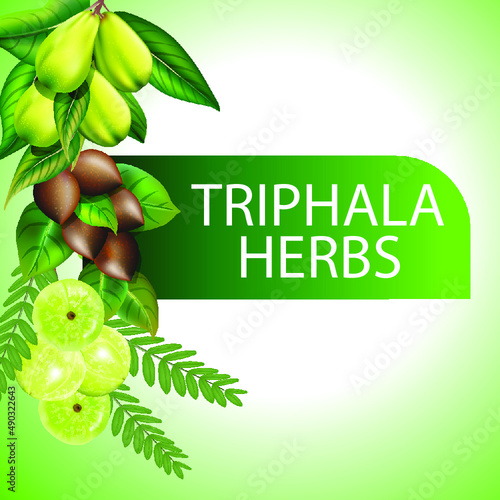 Triphala Herbs organic ayurvedic herbs for medicine