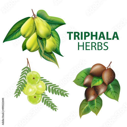 Triphala Herbs organic ayurvedic herbs for medicine