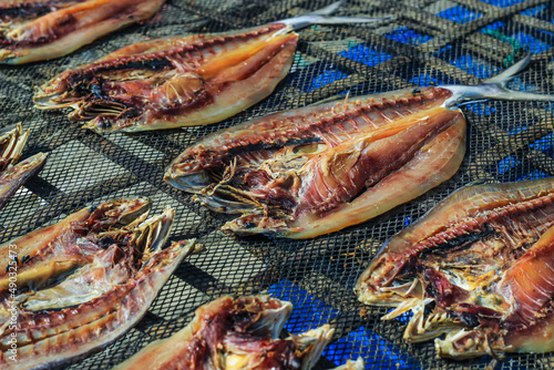  Fish is being prepared by drying in the sun for export abroad. Fish that is being dried in the sun to be salted fish and sold.