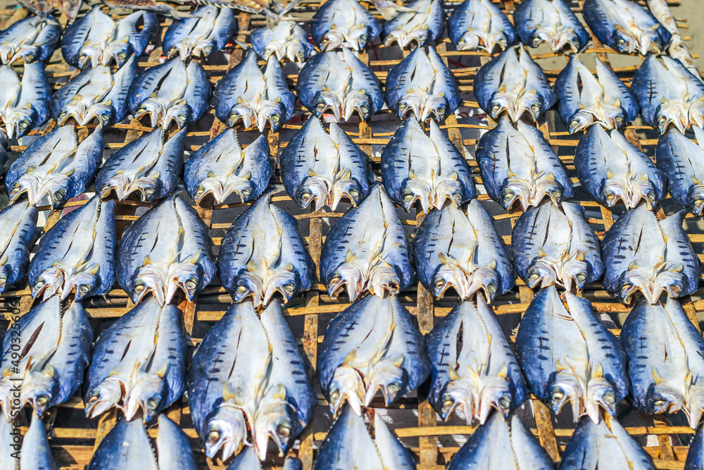 Fototapeta premium Fish is being prepared by drying in the sun for export abroad. Fish that is being dried in the sun to be salted fish and sold.