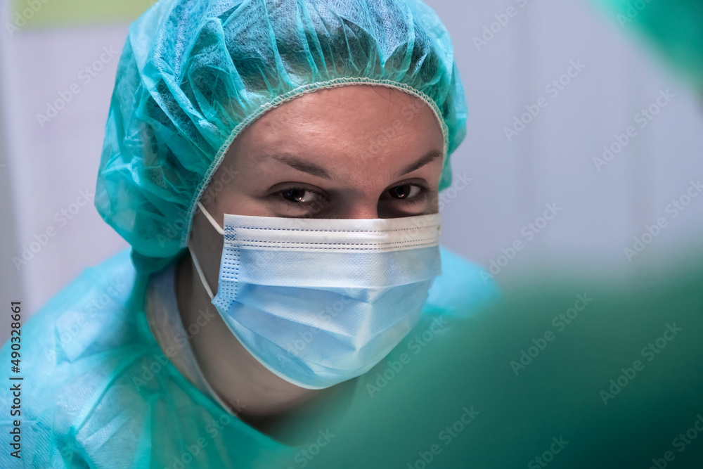 Real abdominal surgery on a cat in a hospital setting Real abdominal surgery on a cat in a hospital setting