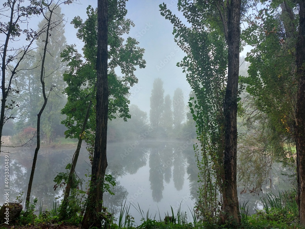 Nebliger Morgen auf dem See. Der Nebel kriecht wie ein riesiger, durchsichtiger Schal an den Bäumen am Ufer vorbei. Eine schöne unscharfe Szene wie in einem Traum. Silhouetten verzweigter Bäume.